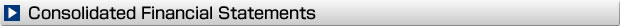 Consolidated Financial Statements