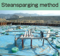 Steansparging method