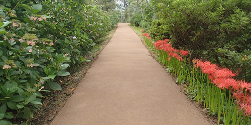 Sidewalk / Garden Path / Park