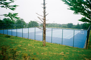 Acrylic All-weather Hardcourt　PERFECT C COURT