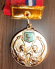 第69回区民体育大会　剣道大会　三段の部　【優勝】メダル