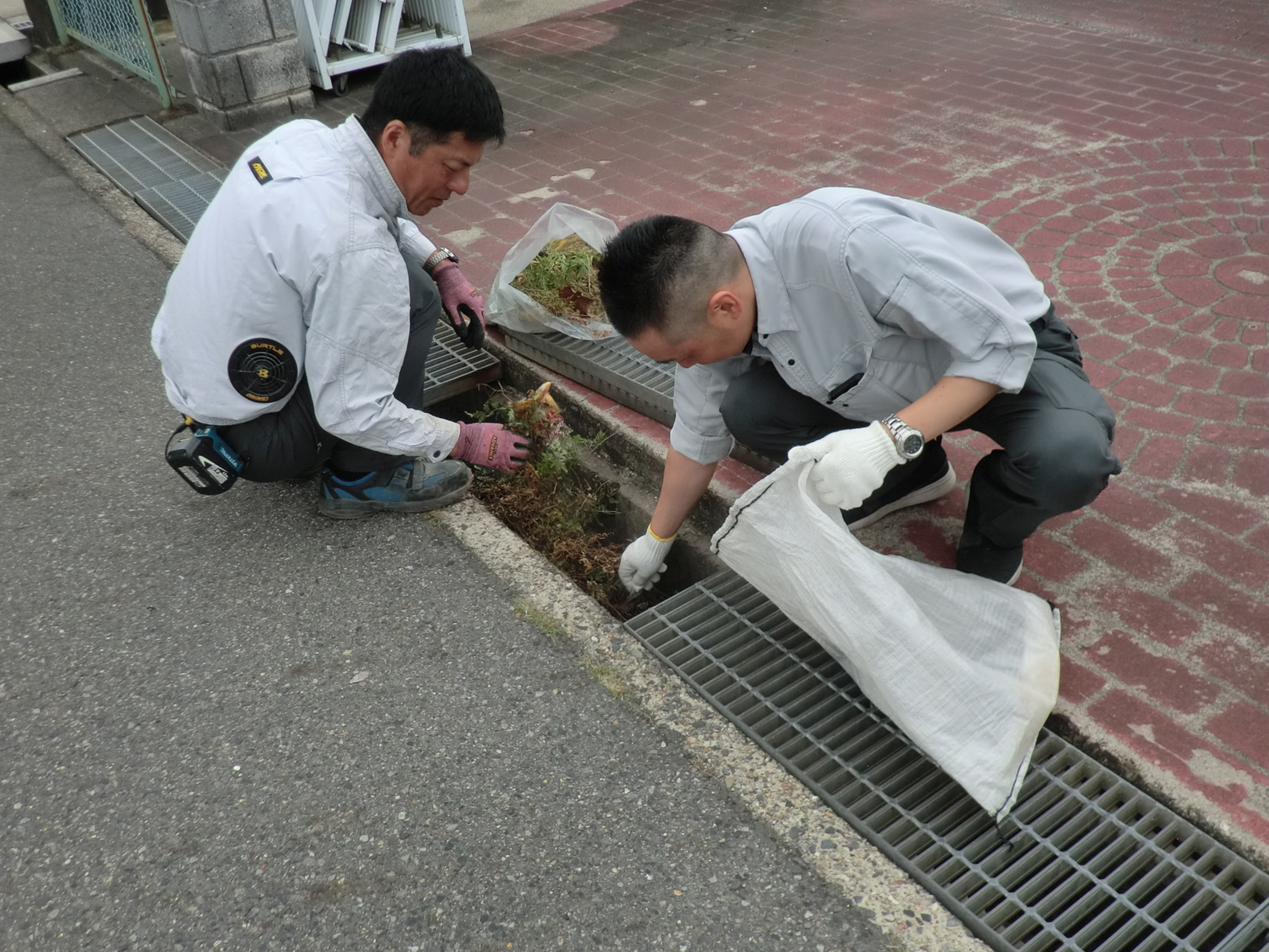 清掃活動の様子