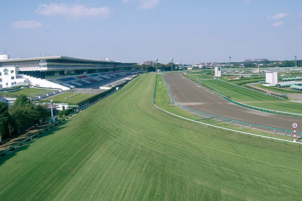 Nakayama Racecourse(Chiba)