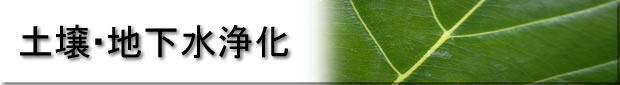 土壌・地下水浄化