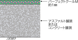 断面図